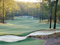 Brookwater Realty